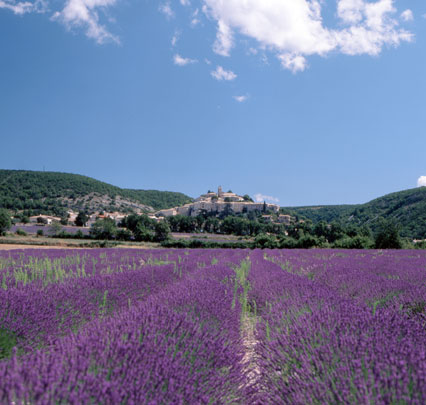 Provence – auf den Wegen des Lichts